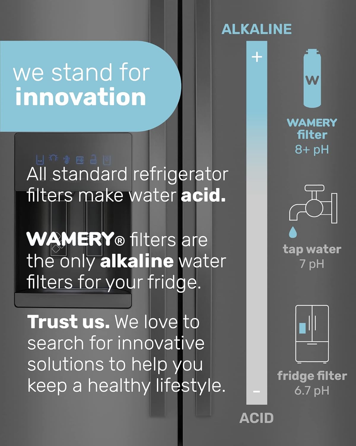 Alkaline Fridge Filter Samsung DA29-00020B - 1 unit